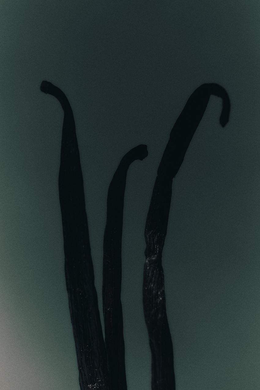 20110656999-e22