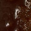 "Cocoa Sunset" - ZARA 100ml - Thumbnail Image 6